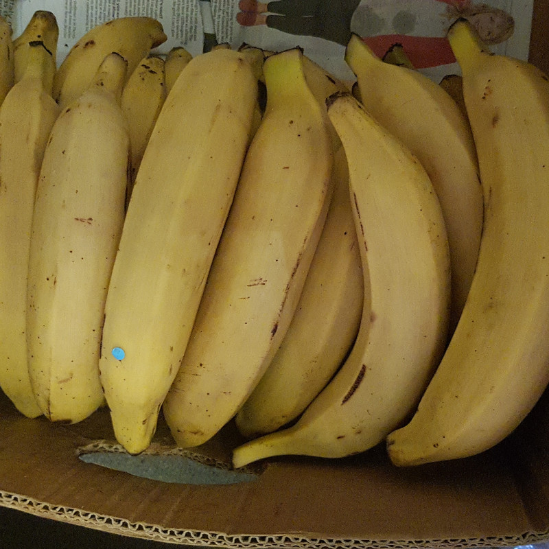 Semi Ripe yellow Plantain  full box