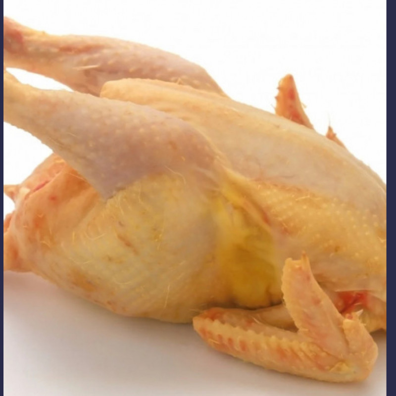 Whole chicken Hen  (Hard chicken)