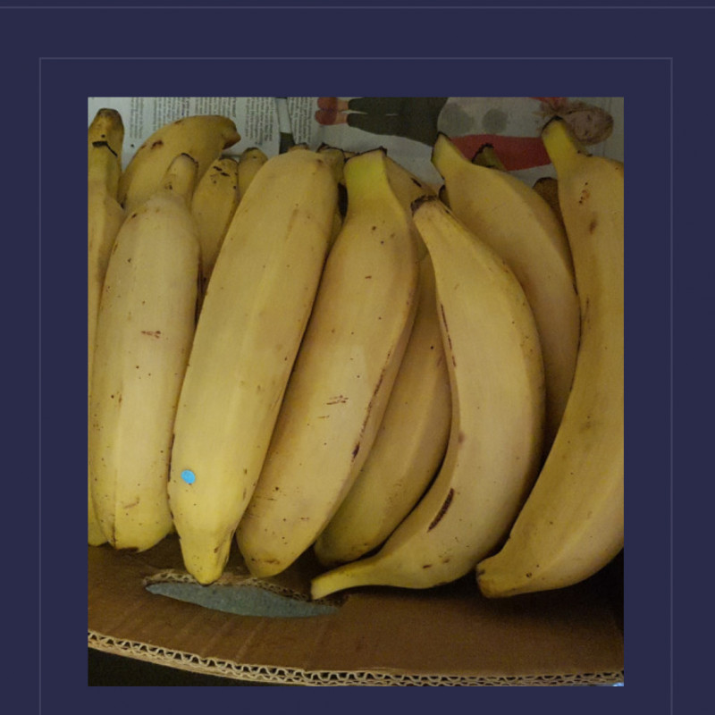 Semi ripe yellow Plantain 2pcs for 1