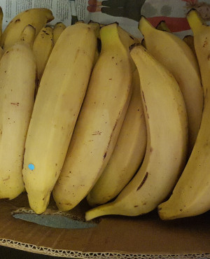 Semi Ripe yellow Plantain  full box