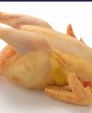 Whole chicken Hen  (Hard chicken)