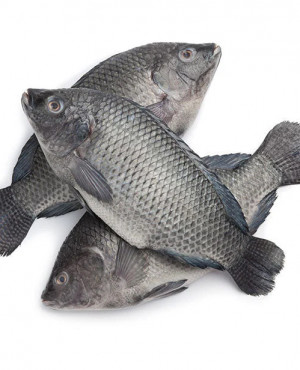 Frozen Tilapia  whole Fish half box 2.5kg