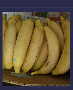 Semi Ripe yellow Plantain half box