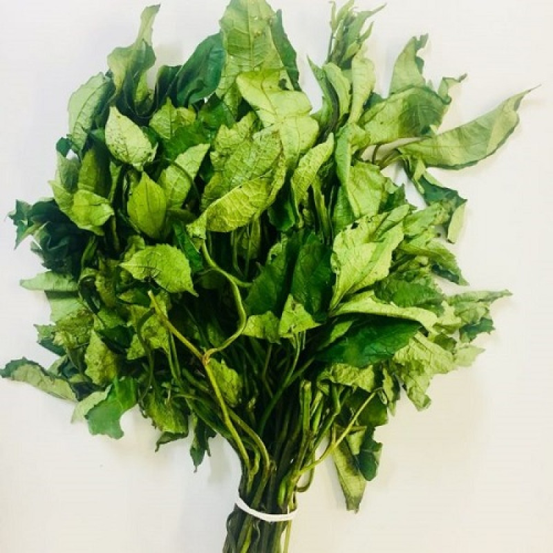 Fresh Ugwu