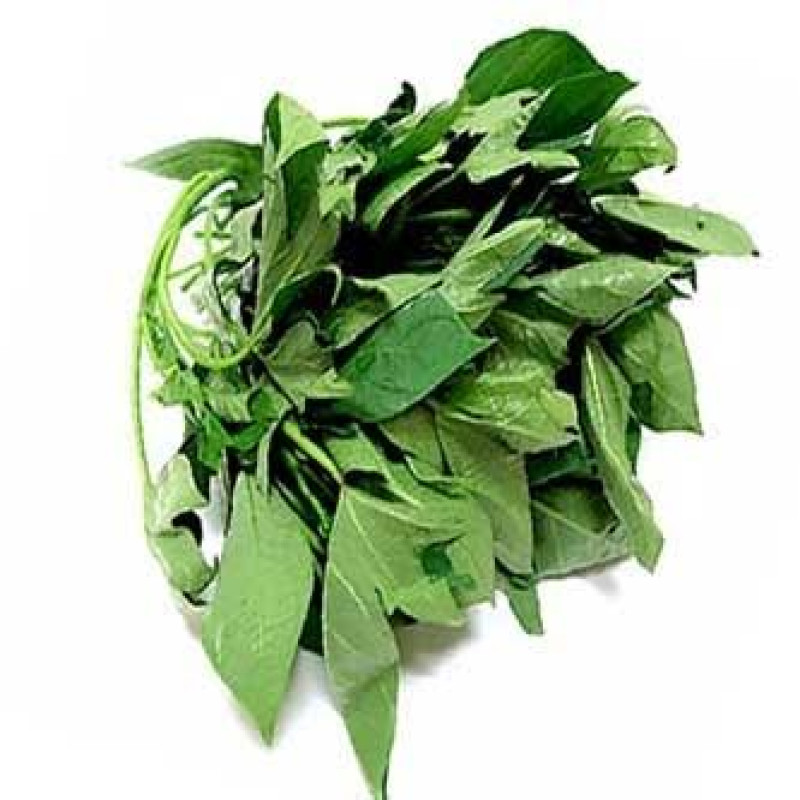 Bitterleaf