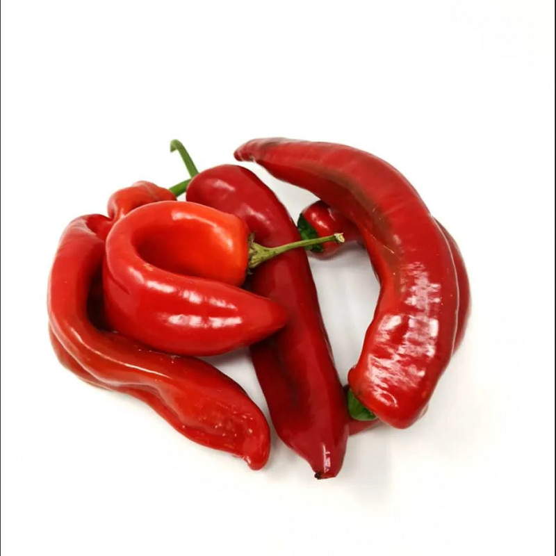 Pointy Red Cap Pepper