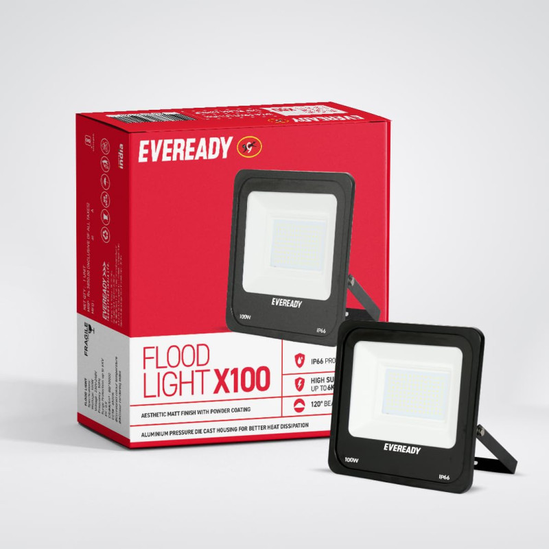 Ever Ready LED Light 100W (Pin)