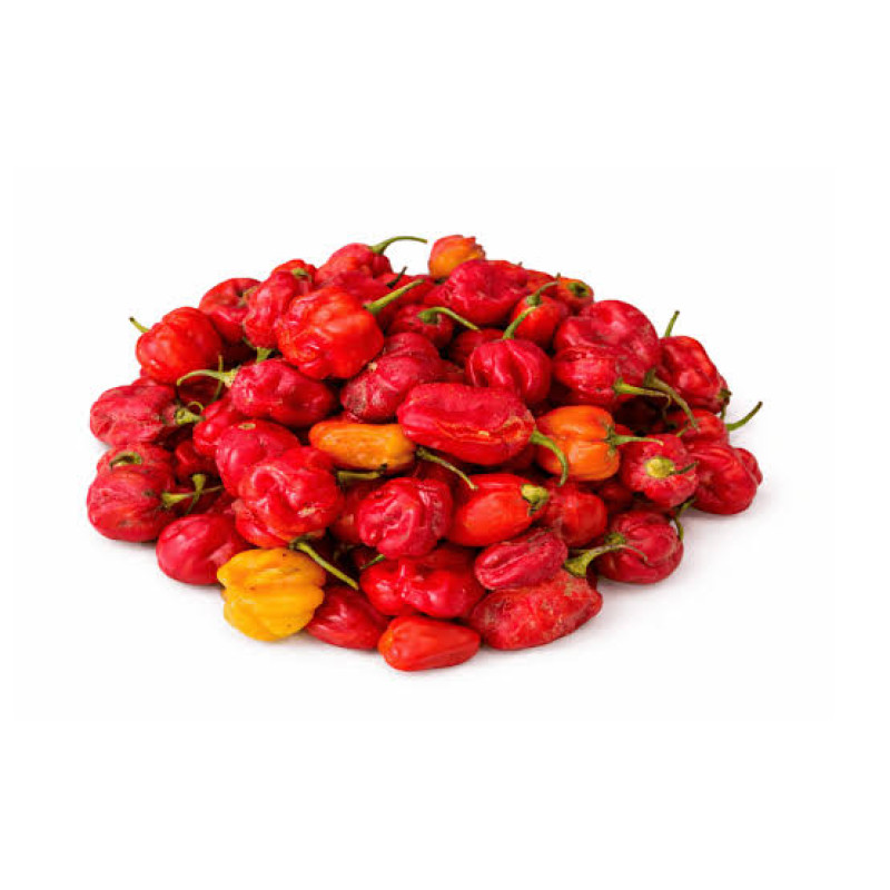 Fresh scotch bonnet