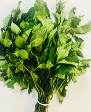 Fresh Ugwu