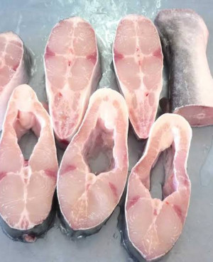 Catfish steak