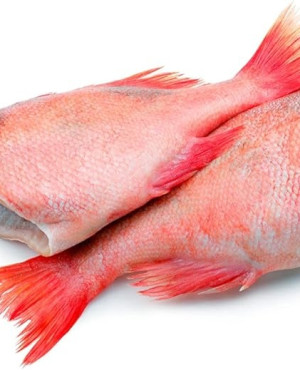Red Fish