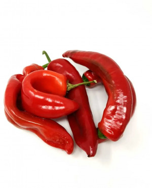 Pointy Red Cap Pepper