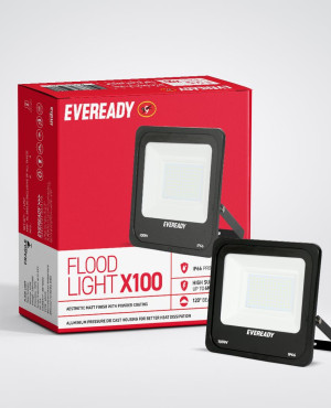Ever Ready LED Light 100W (Pin)