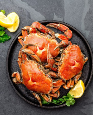 Crab