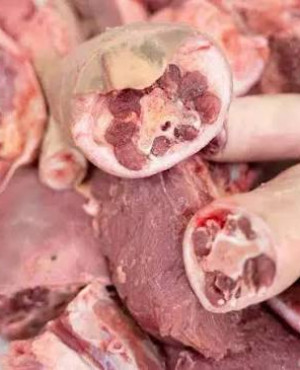 Oxtail