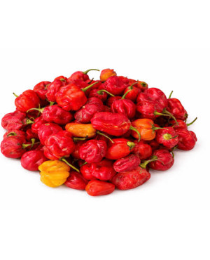 Fresh scotch bonnet