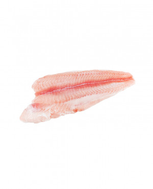 Catfish fillet