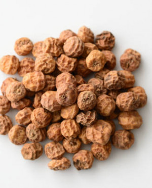 Tiger Nut