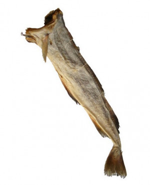 Stockfish Tusk