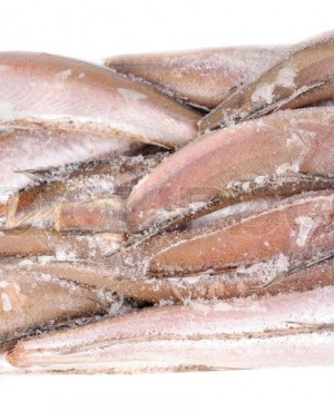 Frozen Salted fish