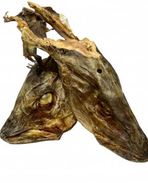 Stockfish head
