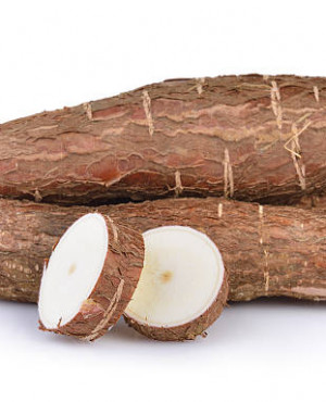 Tapioca