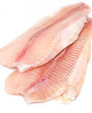 Frozen Pangasius fish steak
