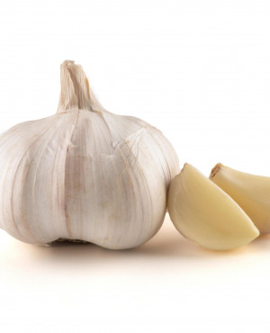 Garlic