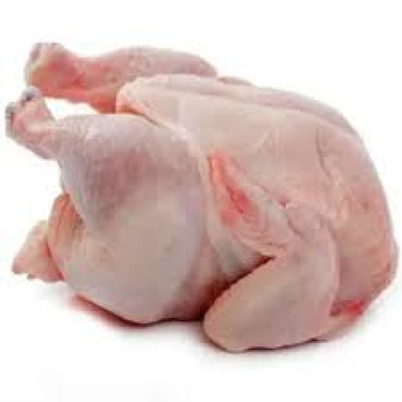 Frozen Hard Chicken (Jolly)