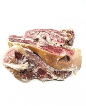 Cow Snout