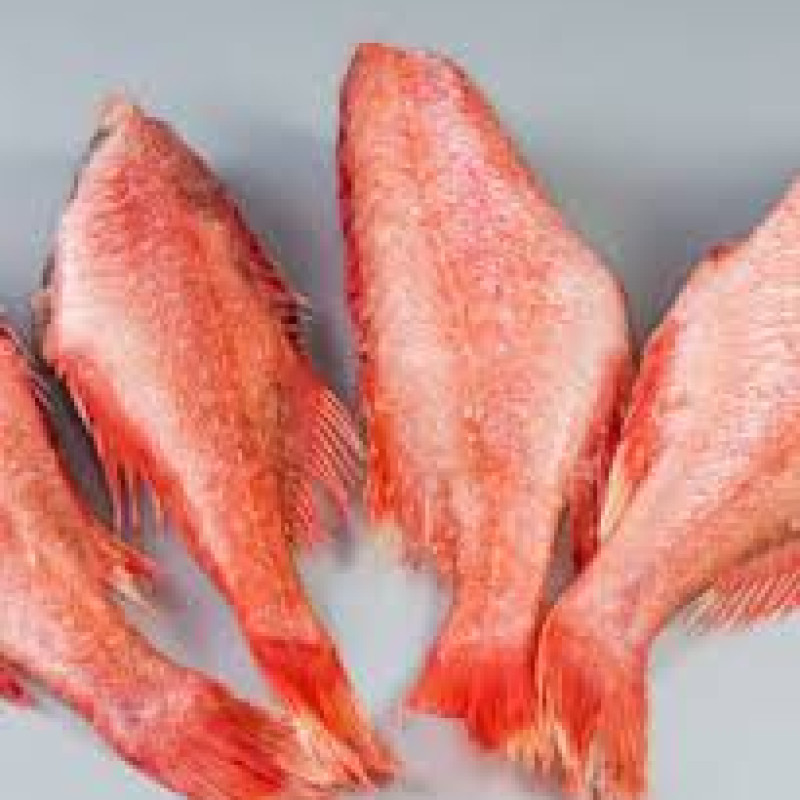 Red Brim fish