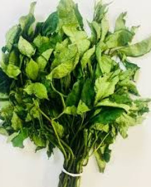 Ugwu
