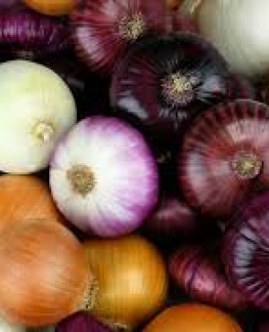 Onions