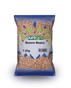 puregro Brown Beans