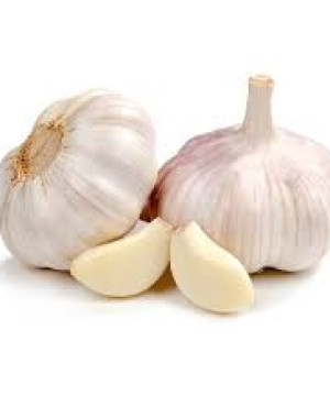Fresh Garlic