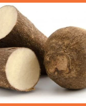 White Yam