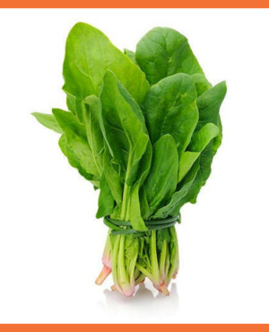 Fresh Spinach