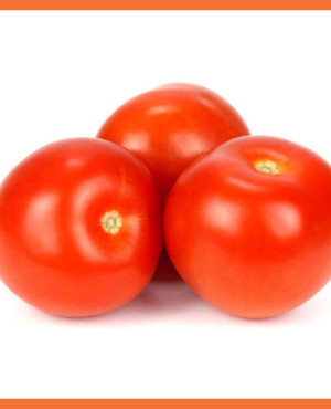 Fresh Tomatoes