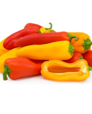 Paprika/Shombo (Long Peppers)