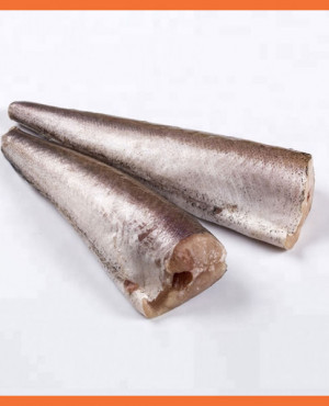 Hake Fish