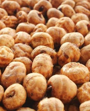 Tiger Nut